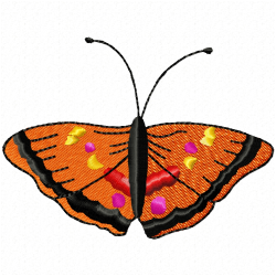 Butterfly Embroidery Design 5